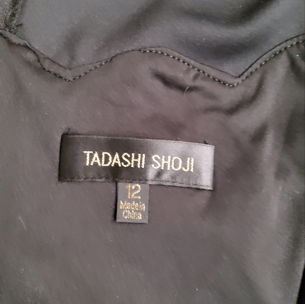 Tadashi Shoji Neoprene and Paillette Lace Dress Size 12 - Picture 2 of 12